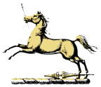 Hills Family Crest
