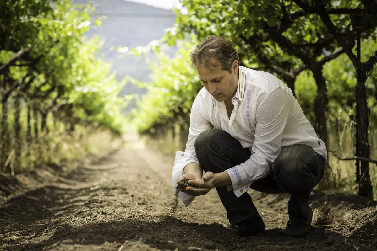 ivo knealing down in the vineyard row looking at a hand full of dirt