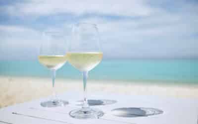 Seasonal Sips: Best Wines for Summer