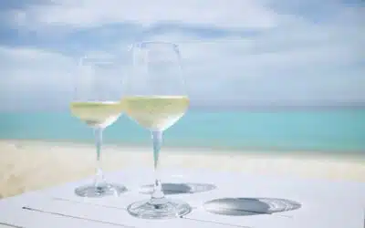 Seasonal Sips: Best Wines for Summer