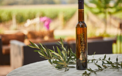 Ivo’s EVOO Endeavor: The Health Benefits of Extra Virgin Olive Oil