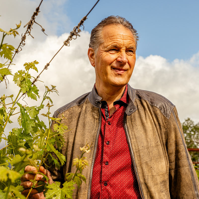 Ivo Jeramaz, Winemaker and VP of Vineyards and Production at Grgich Hills Estate, enjoying the day out in one of the Regenerative Organic Certified vineyards he manages.