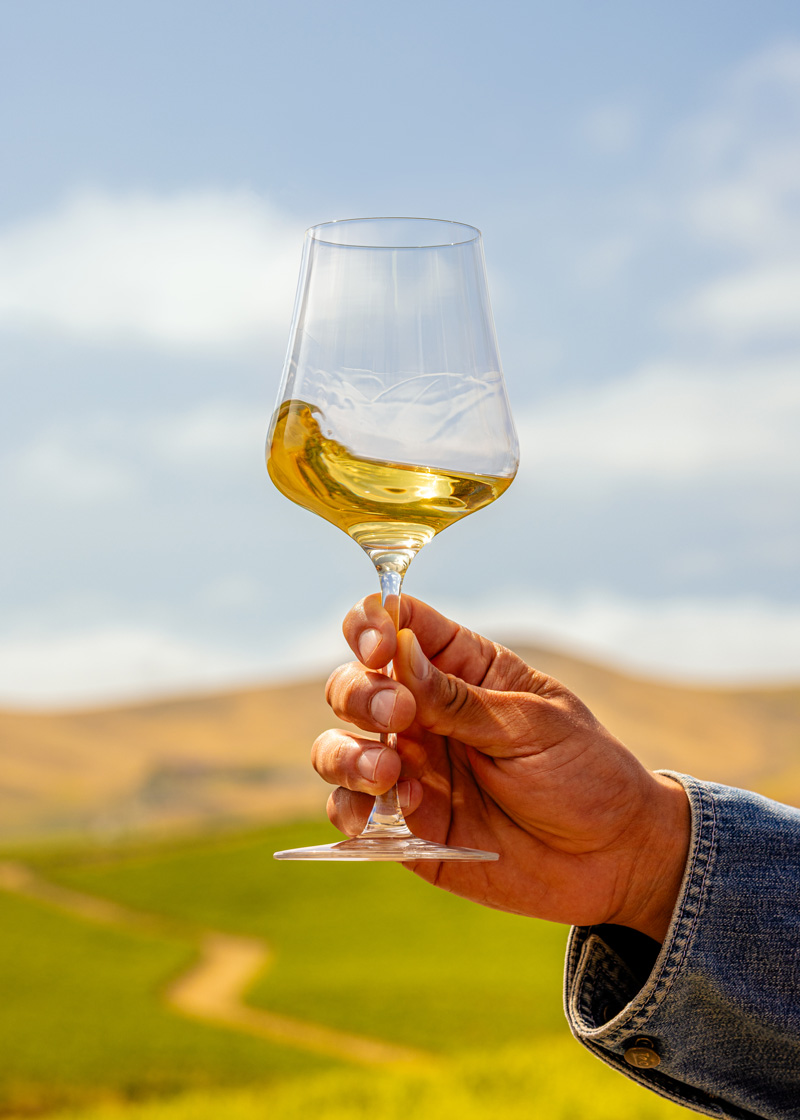 Golden wine swirls in a glass being held up to the sky with a Napa Valley vineyard in the background.