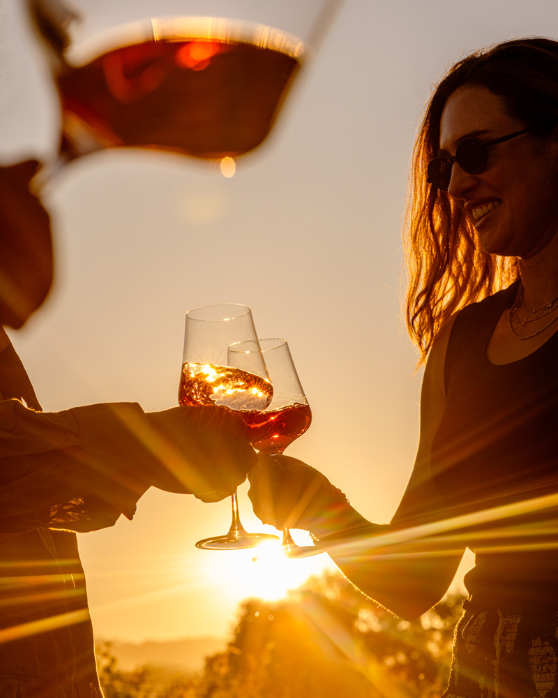 Two glasses filled with red wine collide in the setting sun, as their owners toast in a classic Napa Valley celebration.