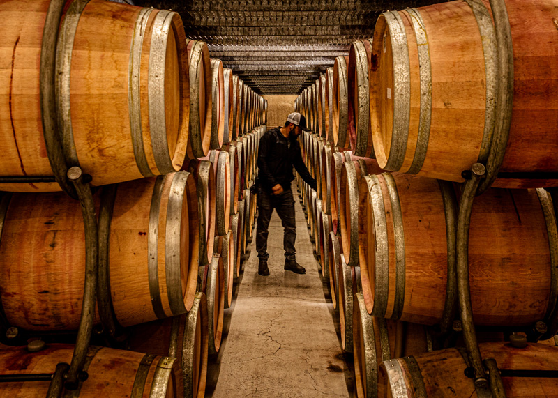 An employee of Grgich Hills Estate inspects the contents of a wine barrel in the Napa Valley winery's cellar.