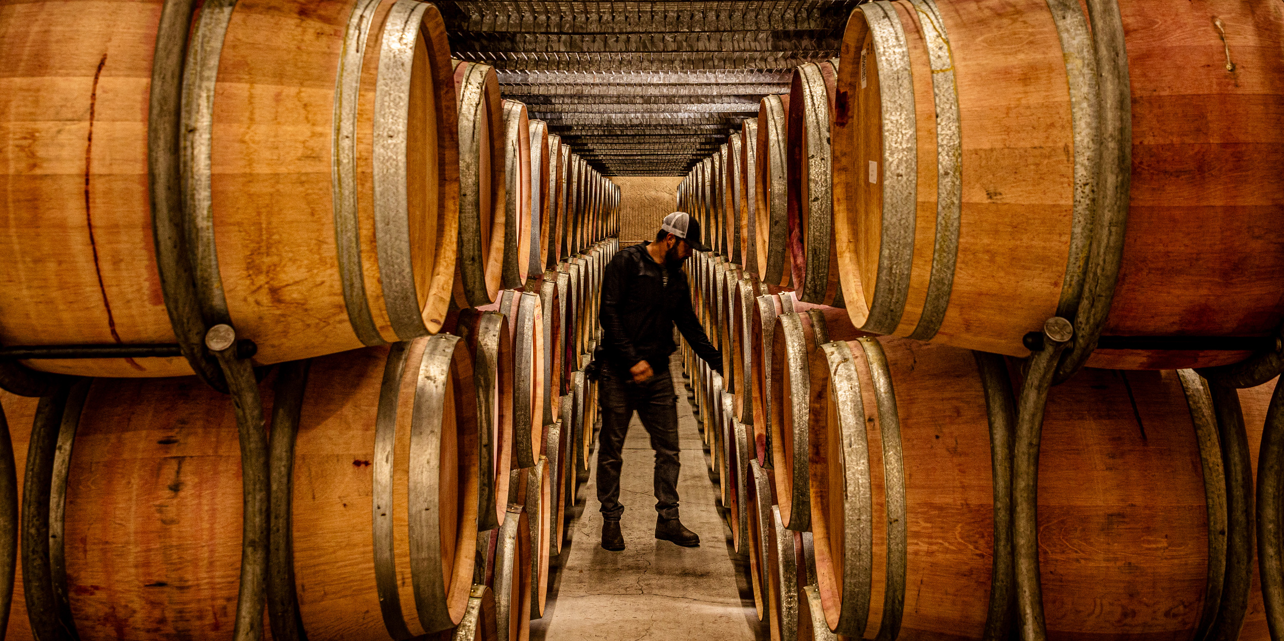 An employee of Grgich Hills Estate inspects the contents of a wine barrel in the Napa Valley winery's cellar.