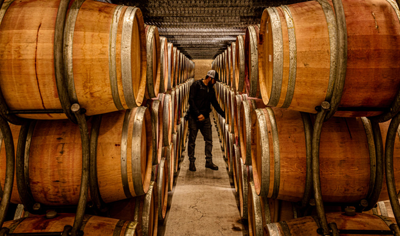 An employee of Grgich Hills Estate inspects the contents of a wine barrel in the Napa Valley winery's cellar.